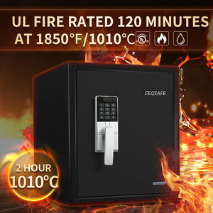 Caja Fuerte Electrónica CEQSAFE Impermeable, Personalizada, de Gran Capacidad, Caja de Seguridad, Resistente al Fuego - Product Image 1