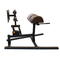 Chaise romaine de qualité professionnelle, banc d'hyperextension dorsale à 45 degrés, appareil GHD multifonctionnel pour la musculation en salle de sport