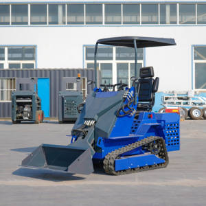 Minicargadoras con varios dispositivos auxiliares exportados a Europa y América - Product Image 1