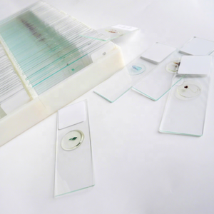 Juego de 100 Portaobjetos de Microscopio con Imágenes Claras para <span class=keywords><strong>el</strong></span> Estudio de Células Animales y Vegetales, Equipo de Laboratorio Biológico, <span class=keywords><strong>Ciencia</strong></span> Médica - Product Image 1