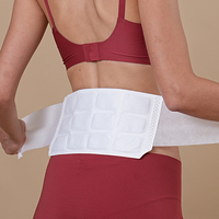 Patch chauffant pour la taille à 12 zones, de grande taille, bandage réglable pour soulager les douleurs dorsales, non adhésif, unisexe