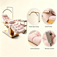 Mobilier de salon de beauté en tissu moderne touffeté Table de massage Lit à 4 moteurs électrique réglable pour le visage Lit de spa à vendre