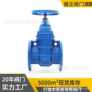 วาล์วประตูแบบหน้าแปลนปิดผนึกแน่นหนา รุ่น Z45T-16Q ยี่ห้อ Tang Zheng สำหรับน้ำและน้ำมัน - Product Image 3