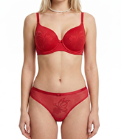 Ensemble de lingerie brodée en dentelle pour femme avec soutien-gorge à armatures et culotte en maille papillon