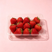 Conteneurs en plastique pour fruits en gros, boîte d'emballage transparente en PET pour fraises, pour fruits frais