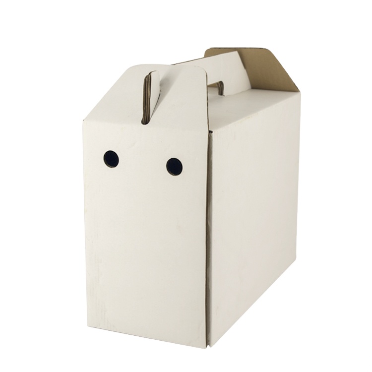 Paper Customize Carton Box Corrugated Carton Mail Box for Delivery Shipping Moving