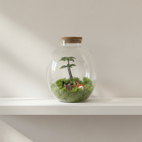 Vase en verre au design unique, terrarium de table en verre avec couvercle en liège pour la décoration intérieure et l'exposition de plantes aériennes