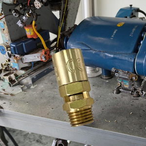 Válvula de seguridad neumática de gas Airmass SNPN-3805A con certificación CE, puerto de reducción 1/4NPT, 230 PSI, sellado de PTFE, vertical - Product Image 1