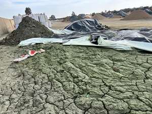 Concentré de cuivre à haute teneur en or de qualité électrolytique pour la récupération complète des métaux précieux, contenant du or ≥5g/T - Product Image 3