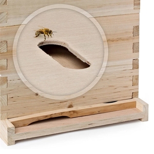 Caja <span class=keywords><strong>de</strong></span> Colmena <span class=keywords><strong>de</strong></span> Abejas Dadant Personalizada Beestar 2026 <span class=keywords><strong>de</strong></span> Alta Calidad en Oferta, Kit <span class=keywords><strong>de</strong></span> Colmena <span class=keywords><strong>de</strong></span> Abejas <span class=keywords><strong>de</strong></span> Madera Sin Ensamblar para Apicultura - Product Image 4