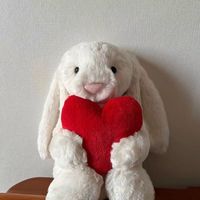 Jellycats Valentijnsdag Love Bug Pluche Konijn Superzacht PP Katoen Gevuld Knuffel Speelgoed Cadeau