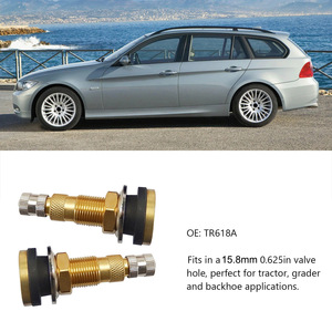 Válvula de neumático sin cámara para líquidos, neumática, Tr618a, para vehículos de ingeniería y agrícolas, modelo 618a, color Al550887736245 - Product Image 2