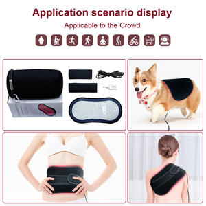 Couverture chauffante multi-spectre pour chevaux, couverture intégrale pour le <span class=keywords><strong>corps</strong></span>, tapis de sauna pour le yoga, 660nm 850nm, tapis de thérapie par lumière rouge infrarouge pour usage domestique - Product Image 2