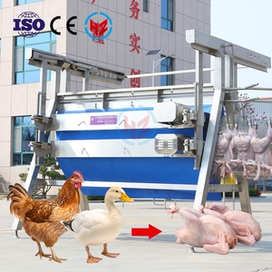 500-15000BPH équipement d'abattage de poulet pour l'abattage efficace de la volaille utilisation d'abattoir - Product Image 1