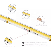 Bande LED COB à double blanc 3000K+6000K, effet d'eau courante pixelisée, 24V, adressable, à flux continu, IP20, Wi-Fi, pour paysage, effet de poursuite de chevaux