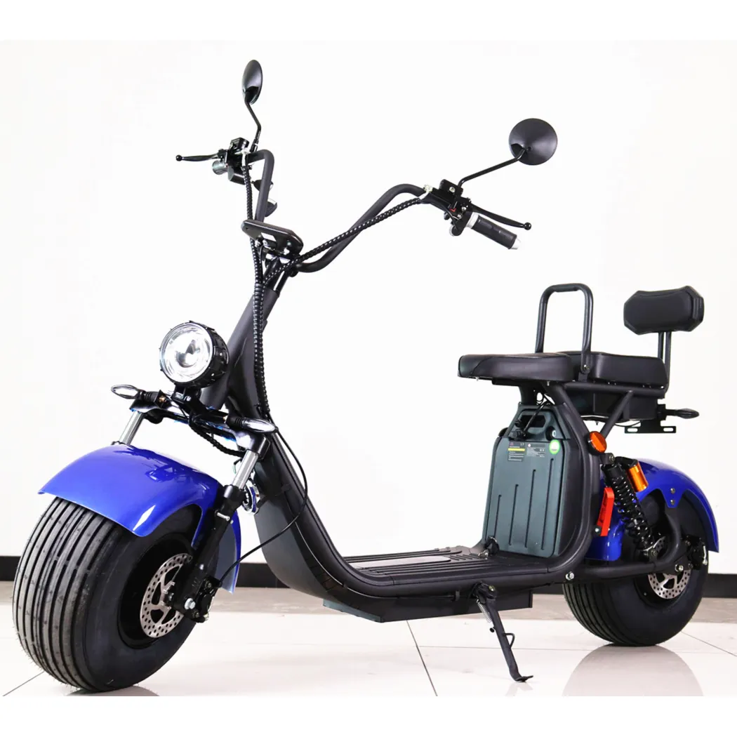 2000W12AH portable two removable battery two seats citycoco electric scooter for adults