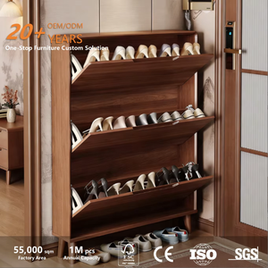 Nouvelle Armoire à <span class=keywords><strong>Chaussures</strong></span> Moderne en Bois Ultra-Mince, Murale, pour Entrée et Couloir, Meuble Intégré, Pliable pour 11 Paires - Product Image 2