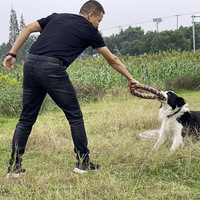 Jouet flottant rond en EVA pour chien, couleurs assorties, interactif et flottant pour l'entraînement et le jeu en extérieur (vente en gros)