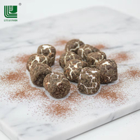 Barres de guimauves lyophilisées personnalisées en gros avec enrobage chocolaté – Bonbons solides – Délice sucré – Durée de conservation de 12 mois