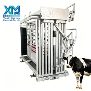 Chute de chargement galvanisée pour bovins avec fonction d'écrasement et de pesage pour le bétail - Product Image 2