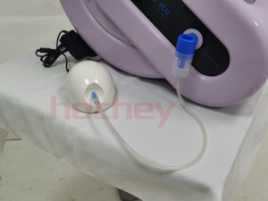 MT inkubator ruang oksigen hiperbarik medis hewan peliharaan dengan oksigen perawatan klinik otomatis dapat disesuaikan terapi oksigen Icu anjing dokter hewan - Product Image 4