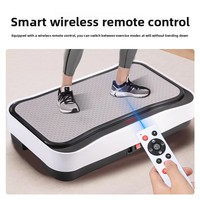 Machine électrique amincissante brûle-graisse, plaque vibrante pour exercice et perte de poids, vibration corporelle complète, fitness, prise en charge OEM