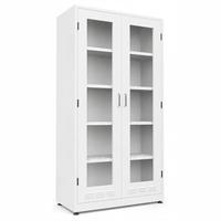 Armoire de rangement de laboratoire en acier laminé à froid durable avec étagères visibles et poignées ergonomiques pour laboratoire de chimie