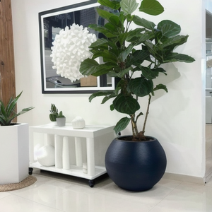 Vaso per <span class=keywords><strong>Fiori</strong></span> in Fibra <span class=keywords><strong>di</strong></span> Vetro Ecologico Bluetown FRP-30 con Finitura Verniciata per Casa, Giardino, Centro Commerciale, Uso Esterno/Interno - Product Image 6