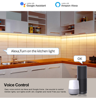 Bande lumineuse LED Tuya Smart Life 120LEDs/M, tube flexible, lampe à corde, DC12V SMD 2835, contrôle WIFI et USB, fonctionne avec Alexa et Google Home