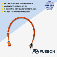 Harness Kabel PTC Pemanas Pendingin Tegangan Tinggi untuk Kontrol Termal Baterai EV PHEV 600V Kabel Tembaga OEM