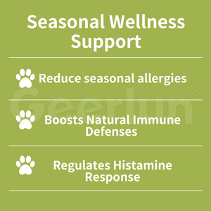 Gotas Líquidas para Mascotas de Marca Propia con Raíz de Jengibre, Calman la Piel y Refuerzan el Sistema Inmunitario, Suplementos Líquidos Dietéticos Antibióticos Naturales para Gatos - Product Image 4