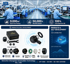 Capteur TPMS Bluetooth CXT pour mini-moto – Vente directe usine, solution TPMS pour pression des pneus, approvisionnement chinois, personnalisable ODM/OEM - Product Image 2