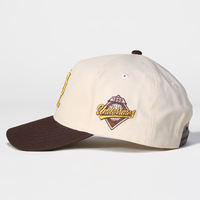 Gorra de Béisbol Personalizada de 5 Paneles de Algodón de Alta Calidad para Hombre, Gorras de Dos Tonos, Logotipo Bordado, Gorra de Béisbol Curva para Mujer, Primavera/Verano, para Actividades al Aire Libre