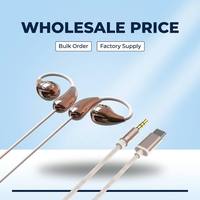Earphone Berkualitas Tinggi Tipe-C Terbaru dengan Peredam Kebisingan Aktif dan Desain Metal
