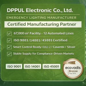 <span class=keywords><strong>Film</strong></span> indicateur remplaçable rétroéclairé Installation suspendue Lumière LED en plastique ultra-mince Signe de sortie d'urgence LiFePO4> 24m - Product Image 6