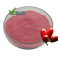 Poudre d'extrait de fruit de baies miracles de qualité alimentaire Synsepalum Dulcificum Miracle Berry en poudre