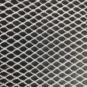 <span class=keywords><strong>Filet</strong></span> <span class=keywords><strong>anti</strong></span>-oiseaux HDPE <span class=keywords><strong>blanc</strong></span>, <span class=keywords><strong>filet</strong></span> <span class=keywords><strong>anti</strong></span>-<span class=keywords><strong>grêle</strong></span> agricole, protection en <span class=keywords><strong>filet</strong></span> plastique - Product Image 4