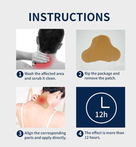 Lijitang 2026 OEM/ODM Sampel Gratis Plester Herbal Transdermal untuk Pereda Nyeri Leher, Serviks, dan Bahu, Plester Wormwood - Product Image 2