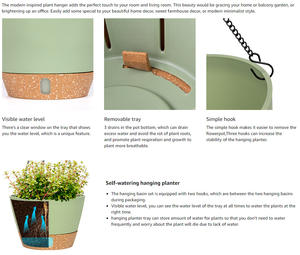 Pots de plantes en plastique P172 avec plateau profond et trous de drainage élevés Jardinières auto-arrosantes <span class=keywords><strong>pour</strong></span> plantes et fleurs d'intérieur et d'extérieur - Product Image 5