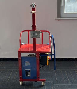 ZLP250 peinture murale extérieure levage plate-forme unique télécommande - Product Image 2