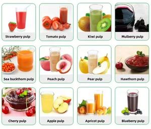 <span class=keywords><strong>เครื่อง</strong></span>ผลิตเยื่อมะม่วงเครื่องสกัดน้ำผลไม้ - Product Image 6