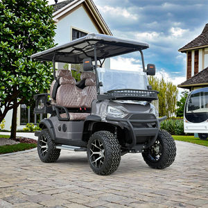 Voiturette <span class=keywords><strong>de</strong></span> golf personnalisée avec sièges sur mesure - Vente directe du fabricant chinois, conception sur mesure pour les propriétés privées - Product Image 2