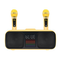 Haut-parleur Subwoofer TD-SD-318 avec Double Microphones, haut-parleur karaoké sans fil, portable, pour fête en plein air, ktv