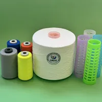 Fil à coudre et à broder en polyester 100% haute qualité, résistant aux hautes températures, pour point de croix et crochet, 30/2, Chine Mayoreo