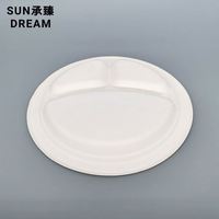 Vaisselle biodégradable de 9,6 pouces, vaisselle jetable, vaisselle jetable, assiette en bagasse à 3 compartiments