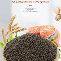 Nourriture pour poissons dinosaures, petits granulés pour axolotls, nourriture pour poissons de fond, matériau coulant, éclaircissant les écailles, riche en nutriments