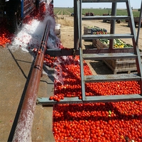 Machine automatique de mise en conserve de pâte de tomate 2026 avec stérilisateur alimentaire, ligne de production de tomates en conserve en dés en acier inoxydable