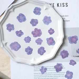 Fiori di Ortensia Naturali Essiccati a Doppio Petalo per Creazioni Fai-da-Te, Custodie per Telefoni in Resina Epossidica e Forniture per Gioielli in Resina - Product Image 5