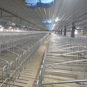 Nouvelle caisse de gestation galvanisée double face enduite de zinc à chaud antirouille pour truies enceintes Conception sans bavure Bords lisses pour porc - Product Image 1