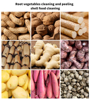Hete Verkoop Automatische Zachte Harde Borstelrol Type Maca Wasmachine Verse Wortel Groente Borstel Peeling Reinigingsmachine Prijs